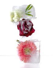 Three Ice-cubes With Flowers On White Background