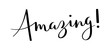 © HowLettery Studio - AMAZING! black vector brush calligraphy banner