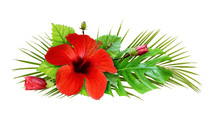 Palm Leaves, Red Hibiscus Flower And Buds In A Holiday Arrangement