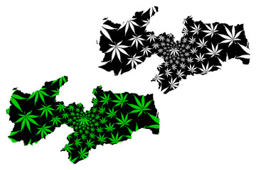 Paraiba (Region of Brazil, Federated state, Federative Republic of Brazil) map is designed cannabis leaf green and black, Paraíba map made of marijuana (marihuana,THC) foliage....