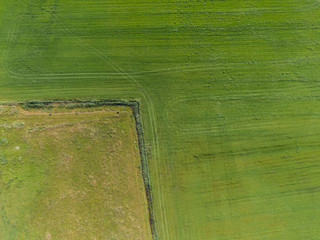 Aerial top down view of two agricultural fields with different colors and tractor tracks