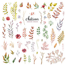 Vector Set Of Red Autumn Watercolor Leaves And Berries, Hand Drawn Design Elements