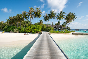 Wall Mural - summer vacation on a tropical island