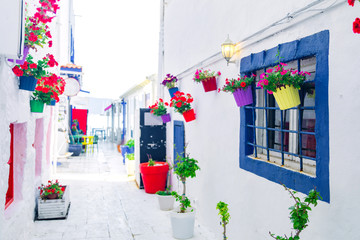 Wall Mural - View of white street and flowers in Bodrum city of Turkey. Aegean style colorful street, wall, house and flowers in Bodrum. 