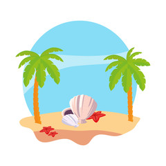 Wall Mural - summer beach with palms and shells scene