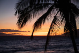 Fototapeta Zachód słońca - Maui Beach Sunset 