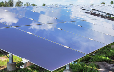 Wall Mural - close up array of thin film solar cells or amorphous silicon solar cells or photovoltaics in solar p