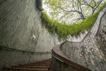 Fototapete - traveling at Fort Canning Park in Singapore