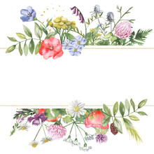 Watercolor Banner With Wildflowers, Herbs, Plants, Meadow Flowers. Great For Cards, Invitations, Greeting Cards, Weddings, Quotes, Patterns, Bouquets, Logos.