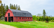 Bright Red Horse Barn With A Horse Grazing In A Pasture