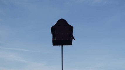 Wall Mural - Birds Landing on a Birdhouse at Dusk