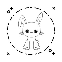 Wall Mural - cute rabbit animal with frame circular