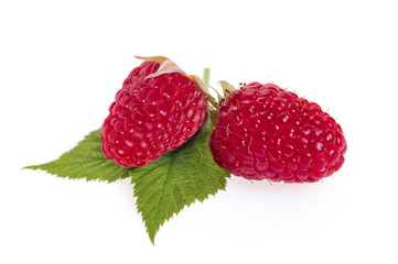 Fresh raspberries isolated on white background