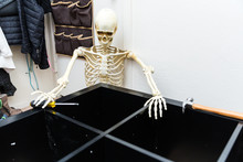 Bony Skeleton Assembling A Black Wooden Shelf