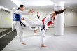 © didesign - Two martial art fighters having a taekwondo combat
