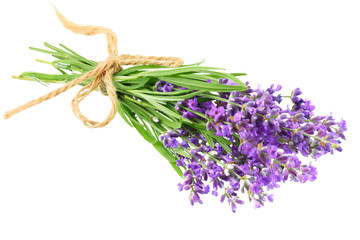 Wall Mural - lavender flowers isolated on white background. bunch of lavender flowers.