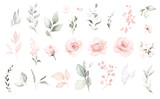 Fototapeta  - Set watercolor elements of pink roses; collection garden flowers; leaves; branches. Botanic; illustration, eucalyptus; Wedding floral design