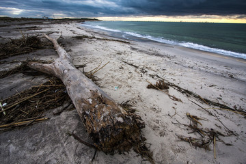 Canvas Print - Spiagge del mediterraneo