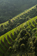 Landscape rice fields on terraced of Mu Cang Chai, YenBai, Vietnam