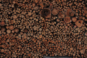 Wall Mural - A pile of cut wood. Wood for the production of particle board