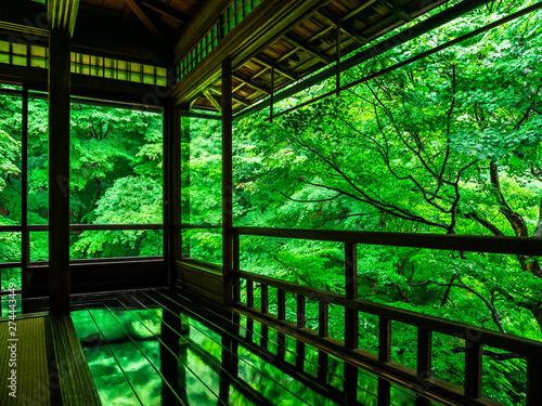 京都 瑠璃光院の青もみじ Stock 写真 Adobe Stock