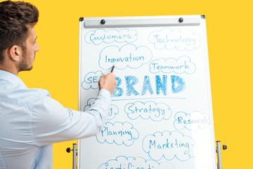 back view of businessman standing near white office board, pointing at words on flipchart