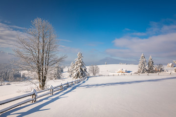 Tatra Mountain in winter, landscape wiht wiev of Tatra Poland Pieniny zakopane