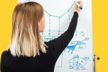 back view of businesswoman drawing graphics and diagrams on white office board