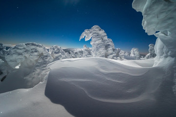 Jeseniky Mountains in winter snow landscape sun 