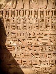 Wall Mural - hieroglyphics at the karnak temple in luxor (egypt)