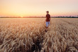 © ml1413 - people wheat field sunset / landscape spring field agriculture of Ukraine