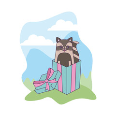 Sticker - cute raccoon animal in gift box