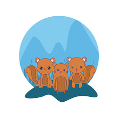 Poster - cute chipmunks animals vector illustration design