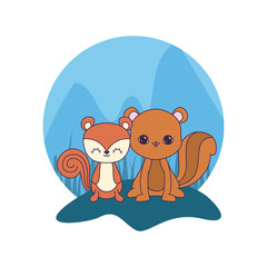 Wall Mural - cute chipmunks animals vector illustration design