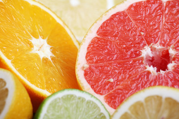 Poster - Mix of citrus fruits cut in different forms