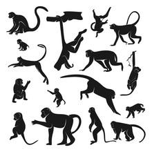 Set Of Monkey Design Vector. Silhouette Of Monkey. Vector Illustration