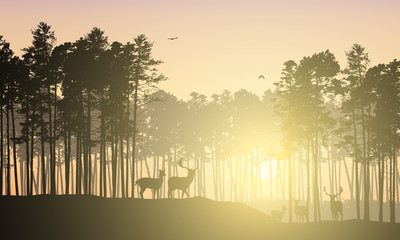 Wall Mural - Realistic illustration of mountain landscape with coniferous forest. Deer herd grazes under yellow sky with flying bird and sunrise with sunshine, vector