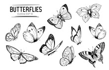 Set Of Butterflies Outlines. Hand Drawn Illustration Converted To Vector