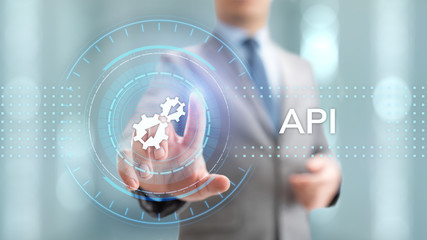 Wall Mural - api application programming interface development technology concept.