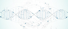 Science Template, Wallpaper Or Banner With A DNA Molecules. Vector Illustration.