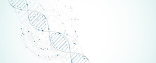 Science Template, Wallpaper Or Banner With A DNA Molecules. Vector Illustration.