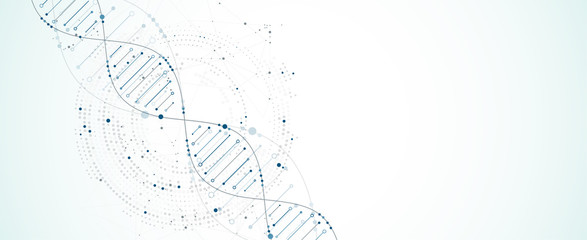 Science template, wallpaper or banner with a DNA molecules. Vector illustration.