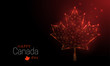 © Елена Бутусова - Happy Canada Day template. Low poly maple leaf.