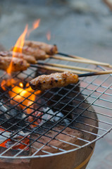 Wall Mural - Grilled pork on fire. Asian food photo