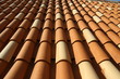 © leomalsam - Red tile roof. Roof tiles on the roof