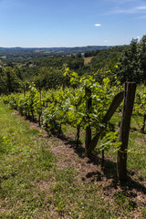 Poster - Saint Solve (Corrèze, France) - Malaval - Vignoble