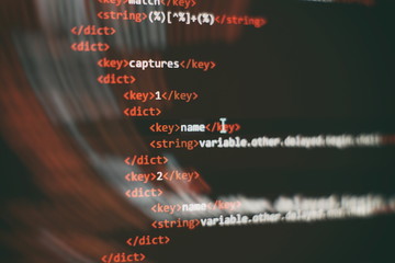 programmer developer screen, web app coding. script on computer. modern display of data source code.