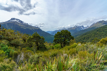 hiking the key summit track, southern alps, new zealand 2