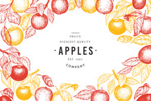 Apple Branches Design Template. Hand Drawn Vector Garden Fruit Illustration. Engraved Style Fruit Frame. Vintage Botanical Banner.