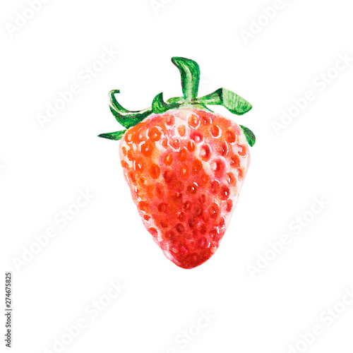 Watercolor sinle bright red juicy strawberry. Food background, painted bright...